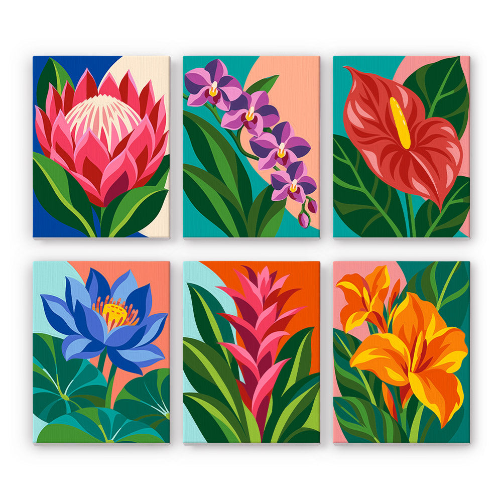 Protea, Orchid and Anthurium mini paint by numbers – Six vivid tropical flowers: a protea, orchids, an anthurium, a blue lotus, a bromeliad and an orange lily