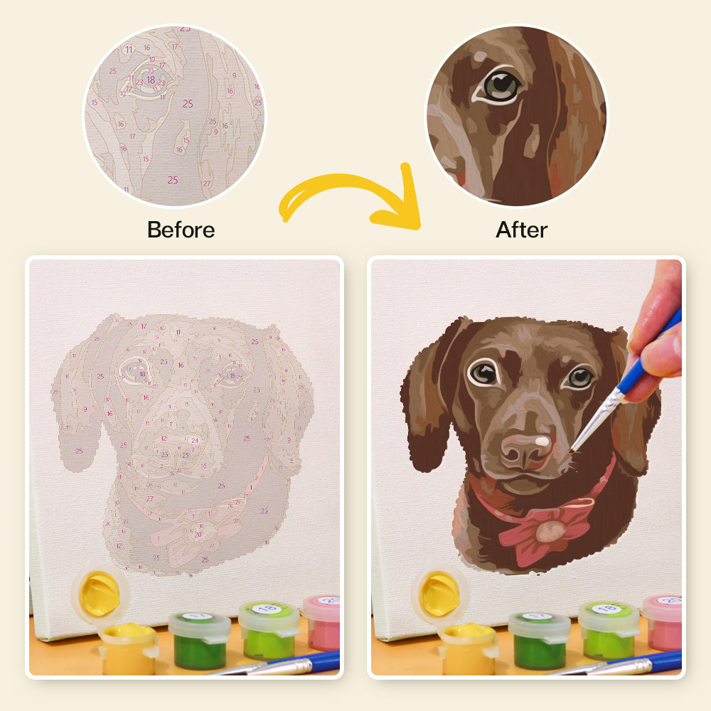 Adorable Dog Portraits mini paint by numbers – image 9