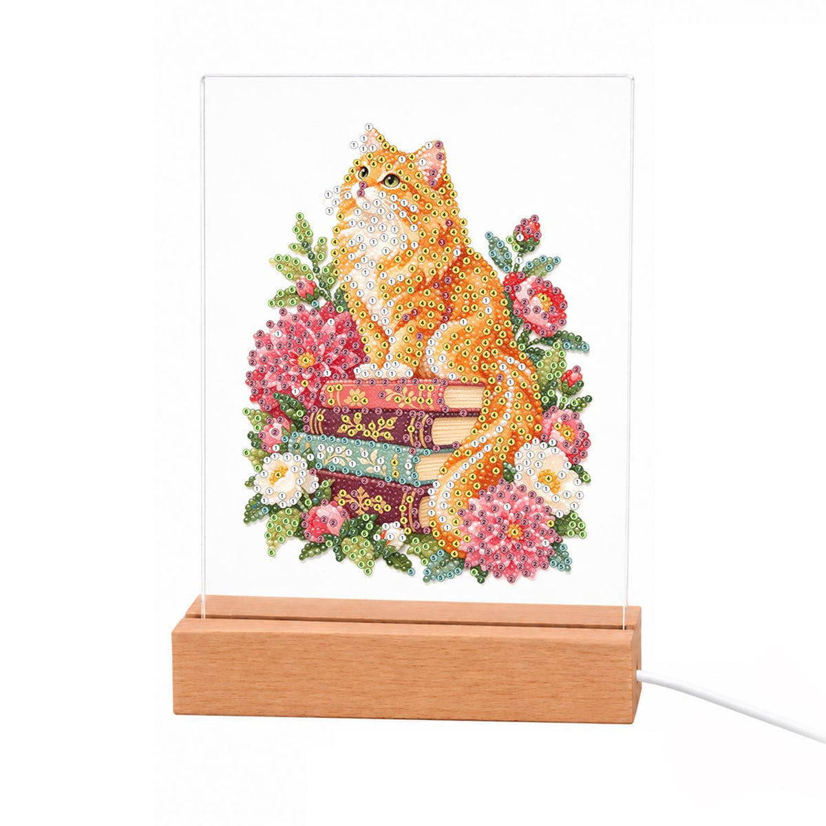 Fluffy Ginger Cat in Peonies light-up pearl painting – Fluffy ginger cat sitting on a stack of books surrounded by pink and red flowers