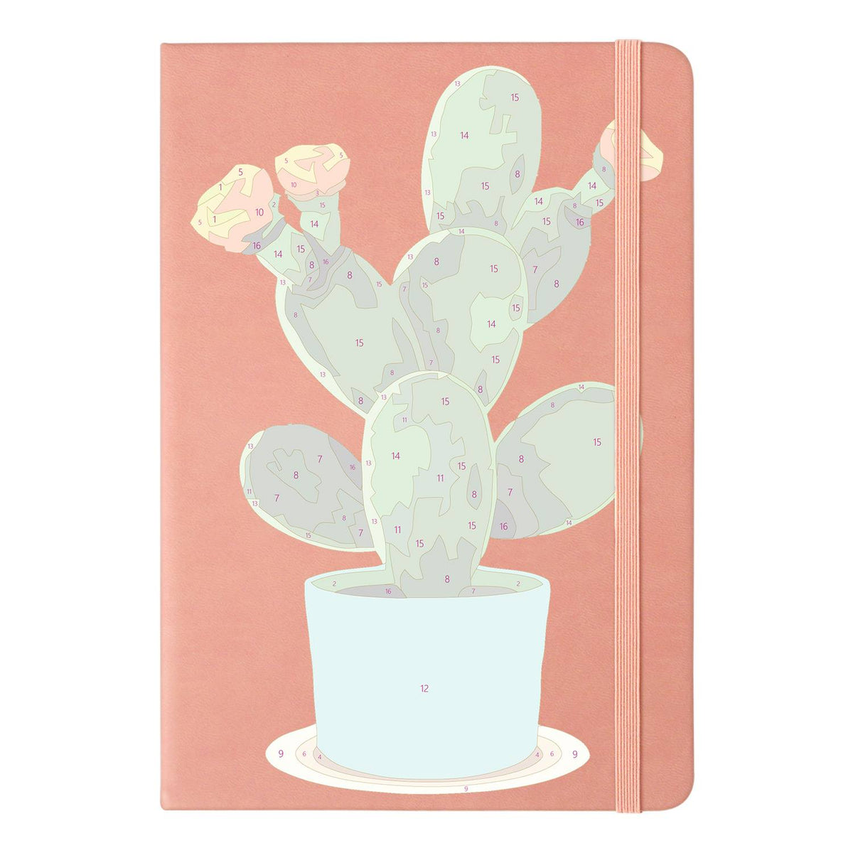 Flowering Cactus in Turquoise Pot paint by numbers notebook – image 10