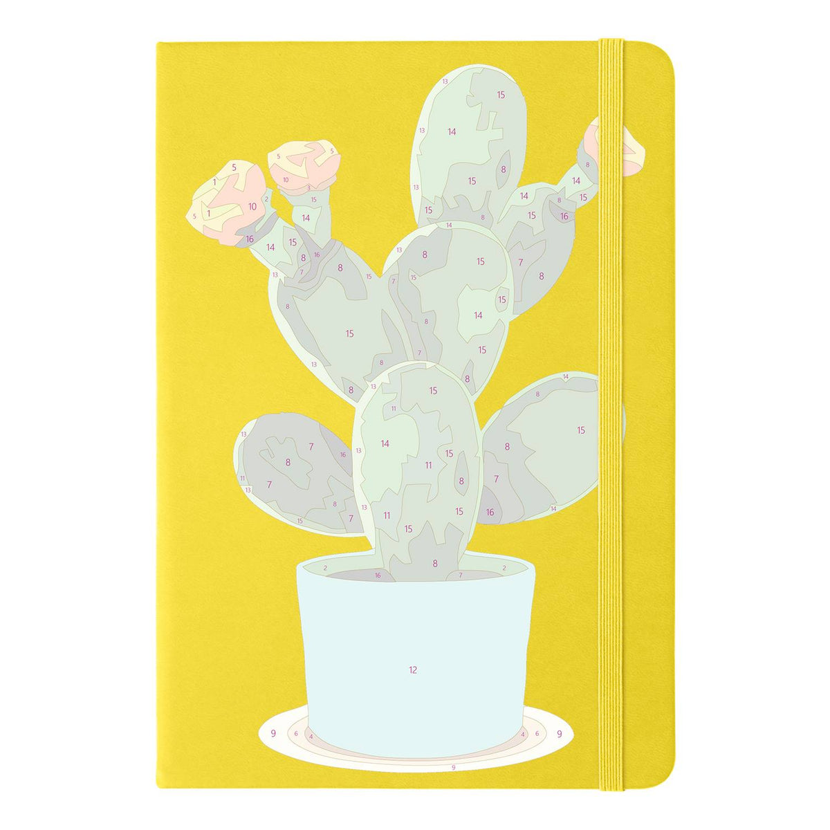 Flowering Cactus in Turquoise Pot paint by numbers notebook – image 11