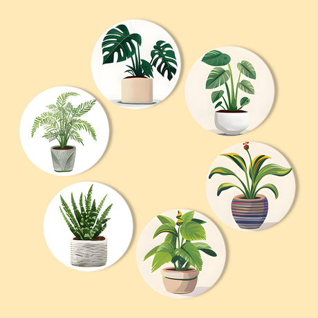 Potted Monstera and Friends paint by numbers coasters – Six potted houseplants: monstera, fern, succulent and leafy green plants in ceramic and woven pots