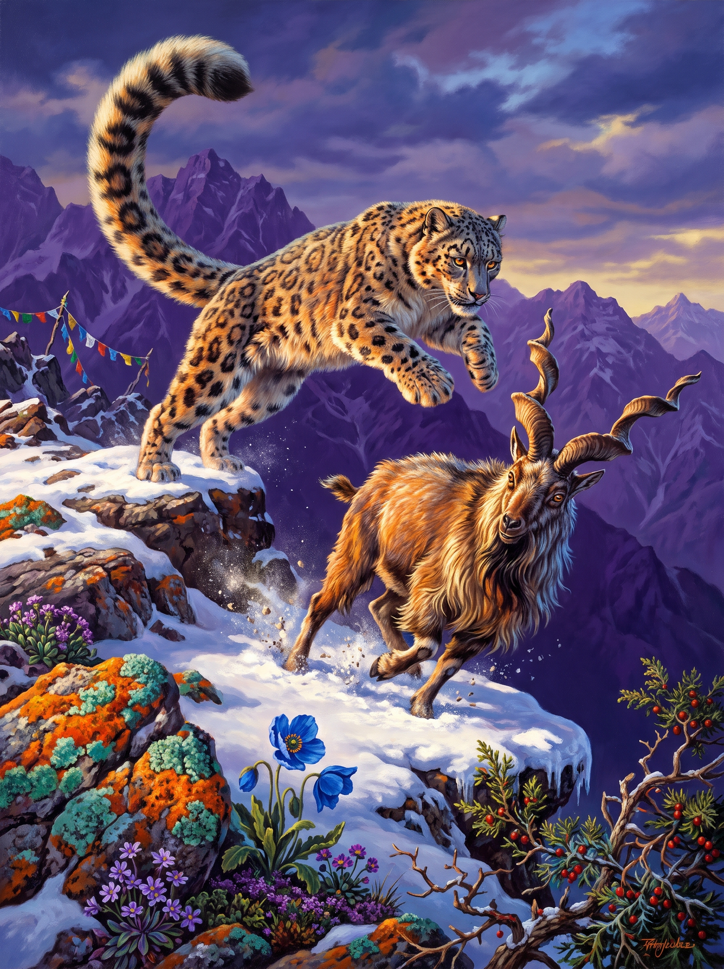 Snow Leopard Rules The Himalayas