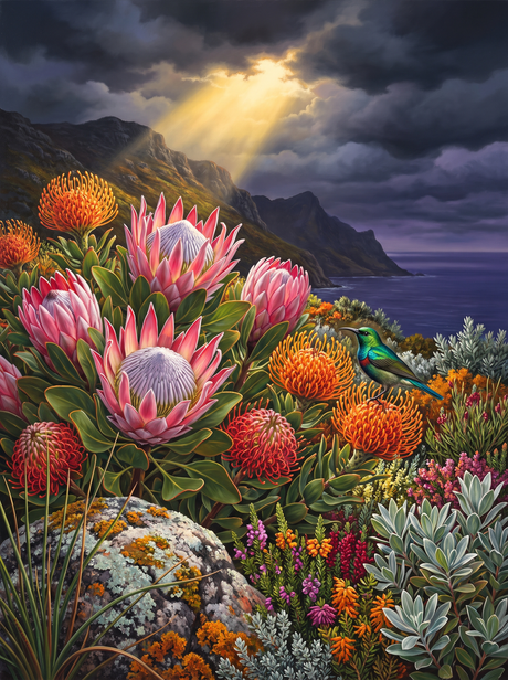 Cape Protea Holds The Line