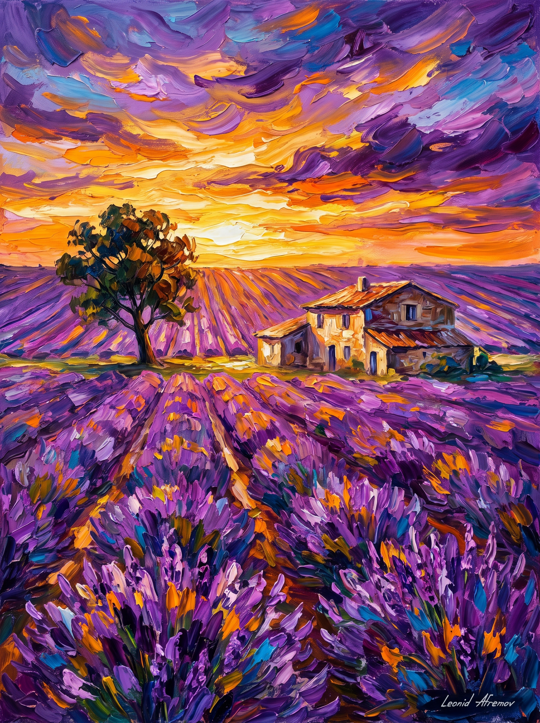 Provence Lavender Fields Sunset