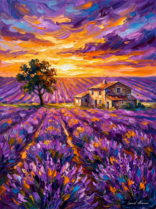 Provence Lavender Fields Sunset