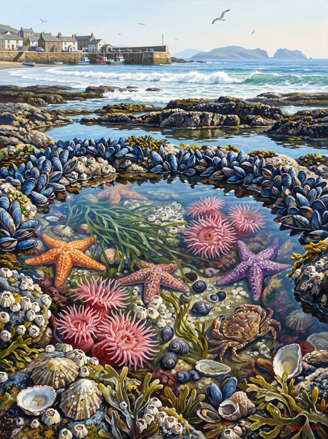 Rock Pool Close