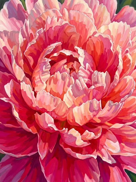 Blush Peony Petals