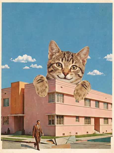 Giant Kitten Over Apartments