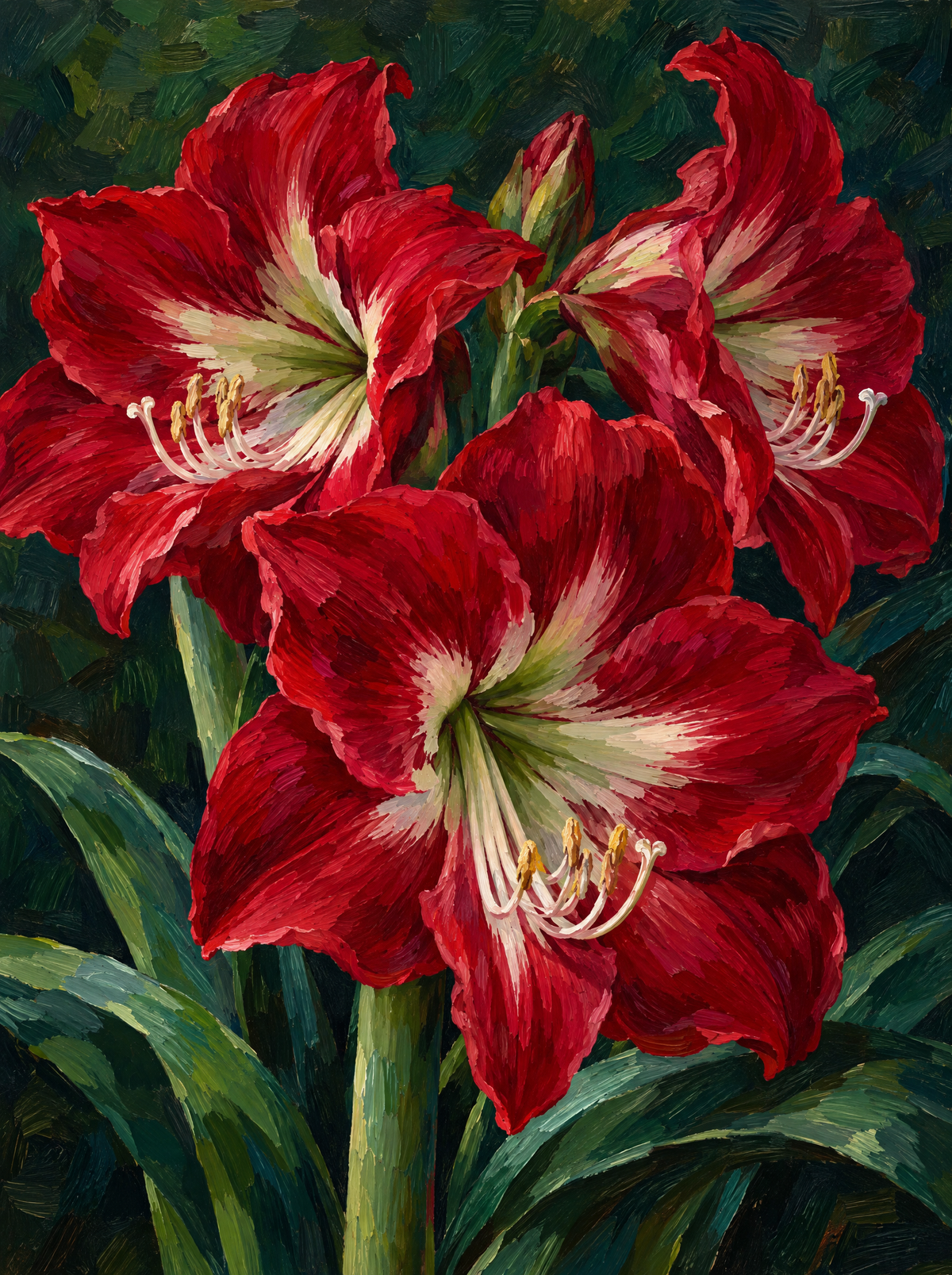Amaryllis Velvet Red